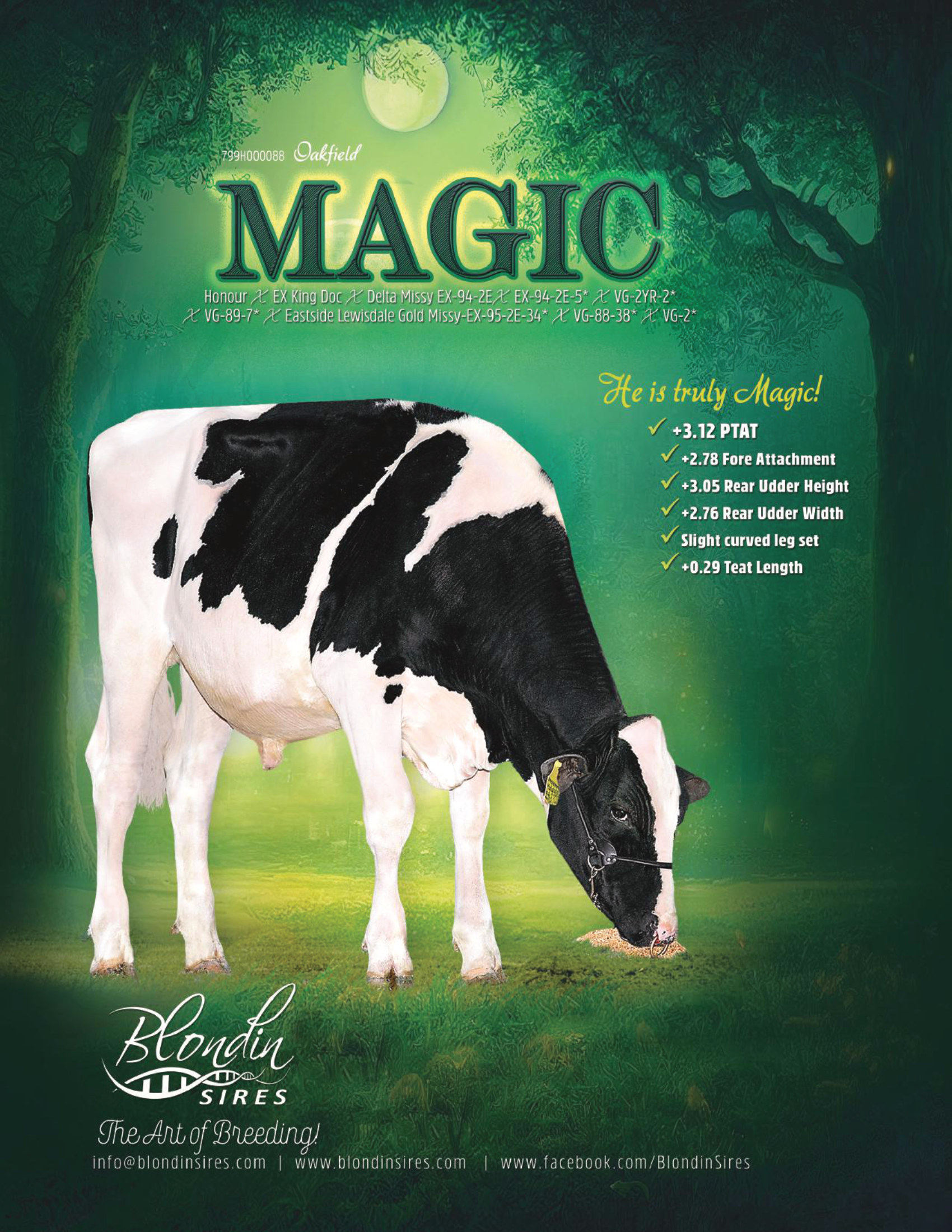 MAGIC — 799HO00088